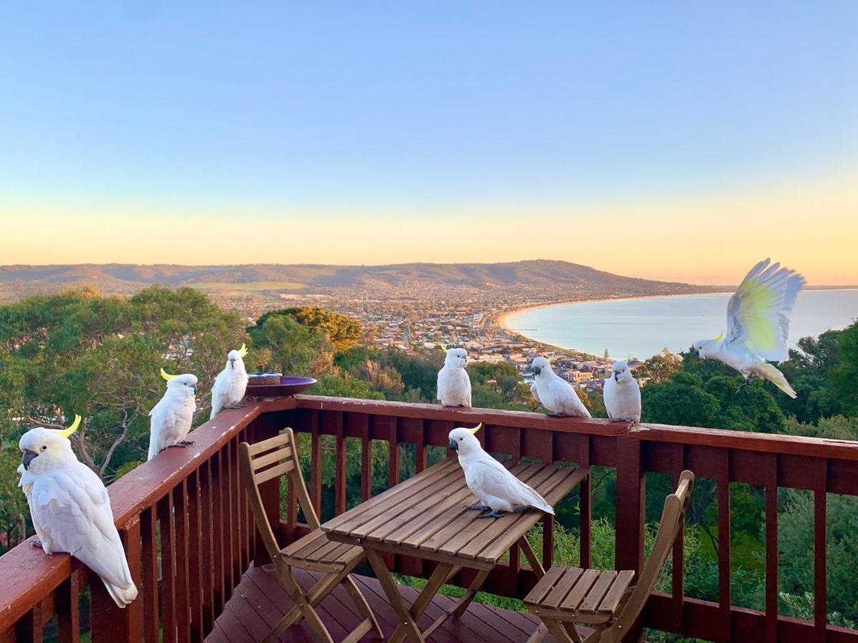 Kinoie Mornington - Oceanview Villa Mount Martha Exteriör bild