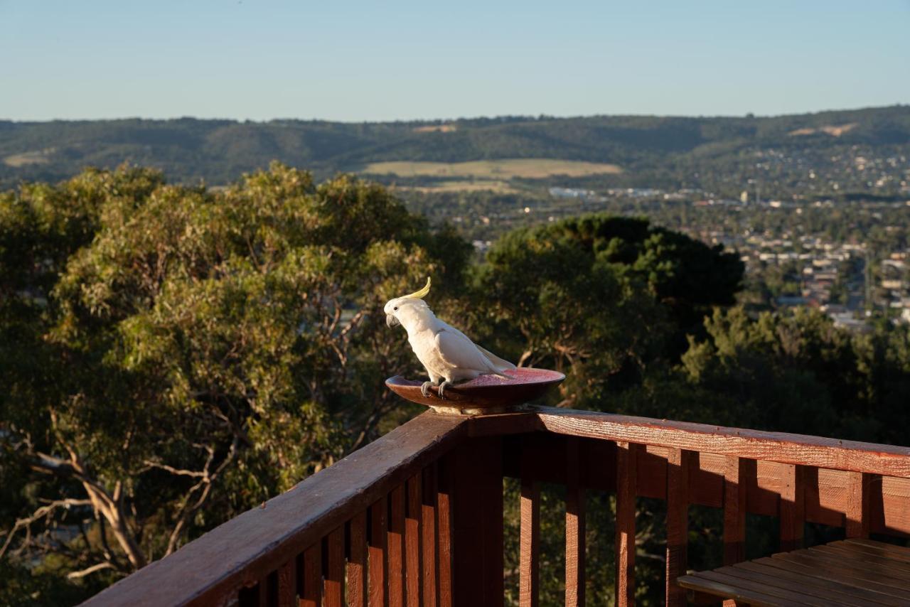 Kinoie Mornington - Oceanview Villa Mount Martha Exteriör bild